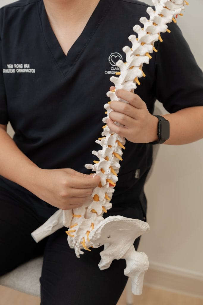 Rong Han is taking a spine demonstrating scoliosis